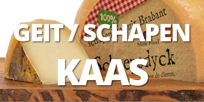 kaas