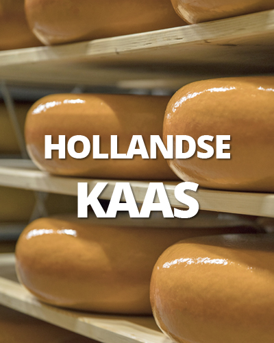 Hollandse kaas